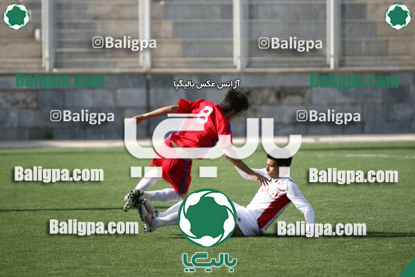 استیل آذین ۲ - ۰ داماش