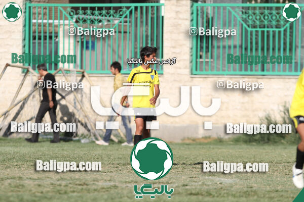 دارائی نوین ۱ - ۲ استیل آذین