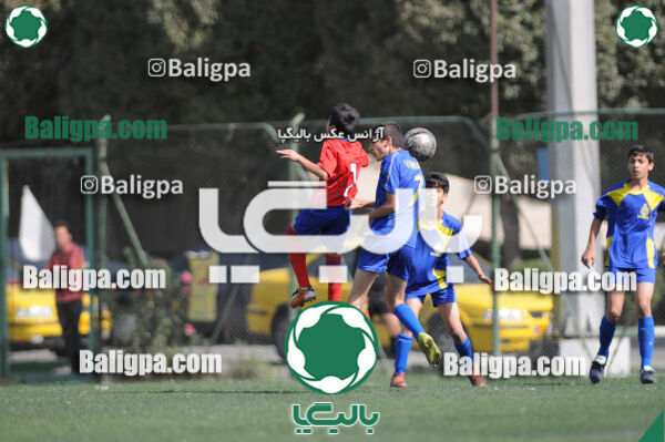 وحدت - داماش تهران