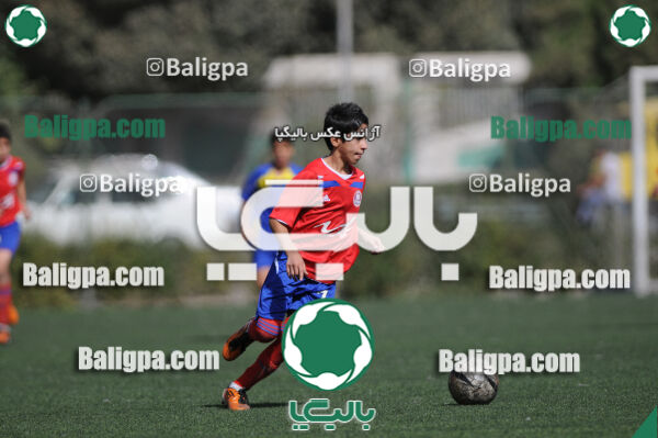 وحدت - داماش تهران