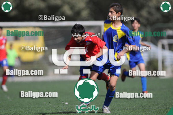 وحدت - داماش تهران