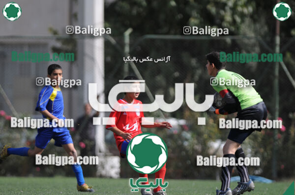 وحدت - داماش تهران