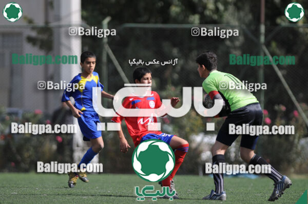 وحدت - داماش تهران
