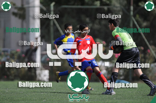وحدت - داماش تهران