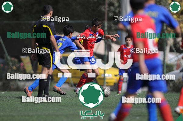 وحدت - داماش تهران