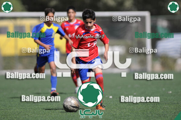 وحدت - داماش تهران