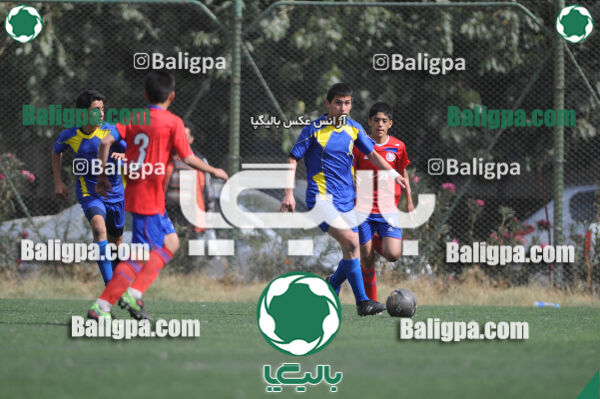 وحدت - داماش تهران