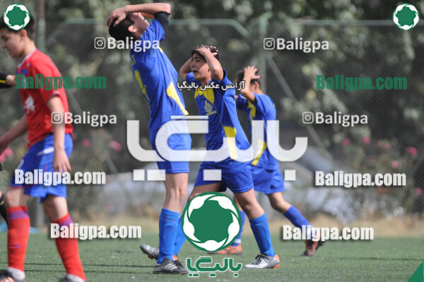 وحدت - داماش تهران