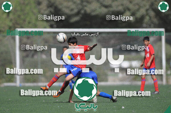 وحدت - داماش تهران