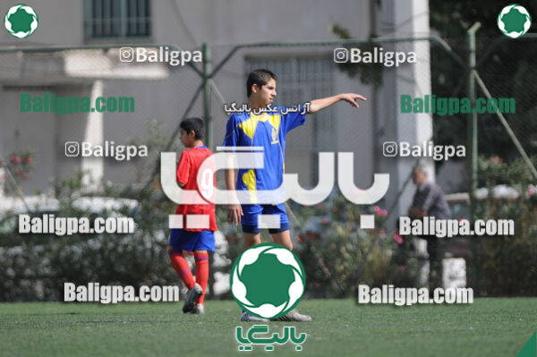وحدت - داماش تهران