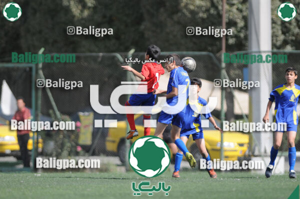 وحدت - داماش تهران