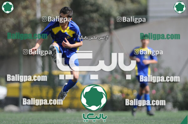 وحدت - داماش تهران