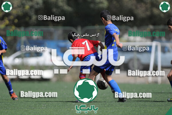 وحدت - داماش تهران