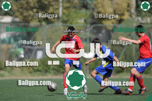 وحدت - داماش تهران