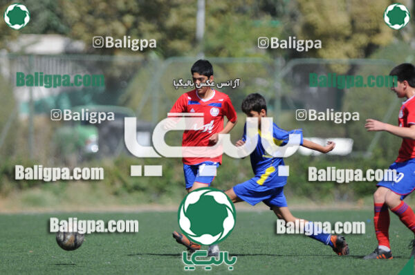 وحدت - داماش تهران
