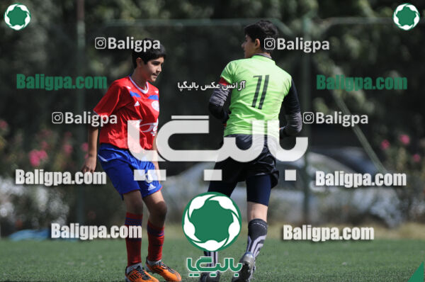 وحدت - داماش تهران