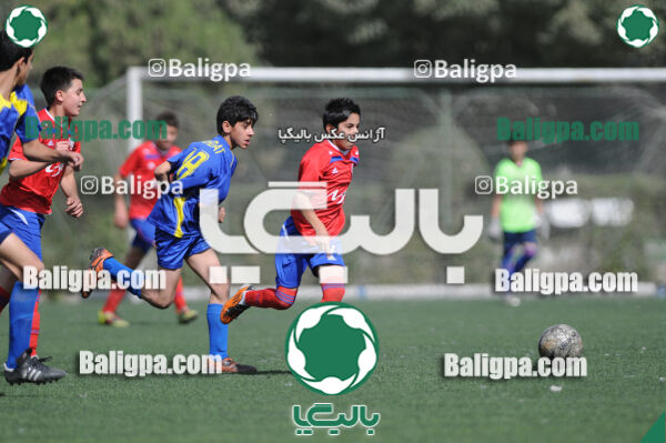 وحدت - داماش تهران