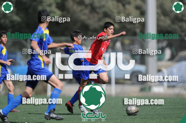 وحدت - داماش تهران