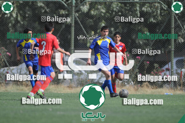 وحدت - داماش تهران