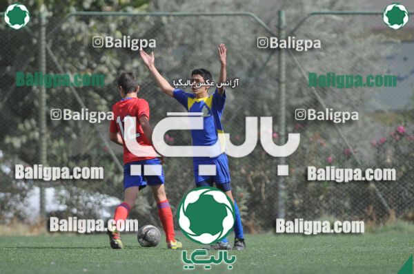 وحدت - داماش تهران
