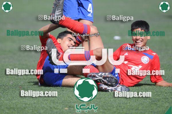 وحدت - داماش تهران