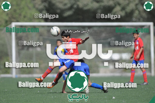 وحدت - داماش تهران