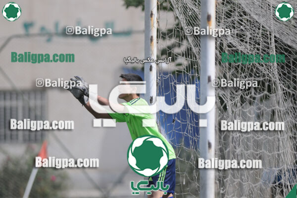 وحدت - داماش تهران