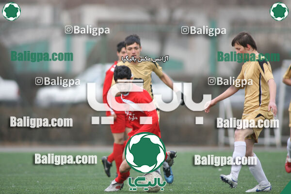 سرخ پوشان ۱ - ۱ پدیده نیک