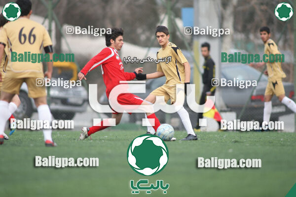 سرخ پوشان ۱ - ۱ پدیده نیک