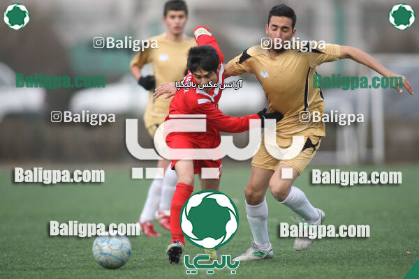 سرخ پوشان ۱ - ۱ پدیده نیک