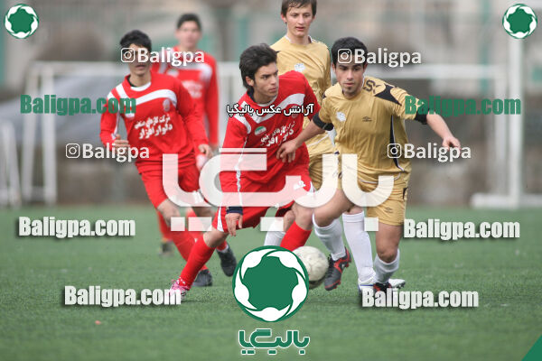 سرخ پوشان ۱ - ۱ پدیده نیک