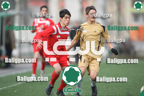 سرخ پوشان ۱ - ۱ پدیده نیک