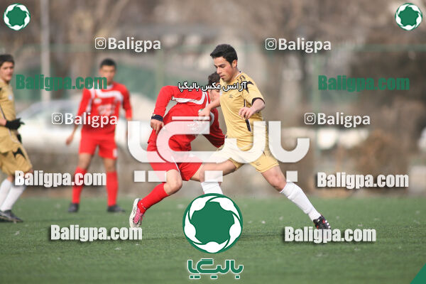 سرخ پوشان ۱ - ۱ پدیده نیک