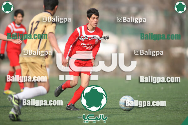 سرخ پوشان ۱ - ۱ پدیده نیک