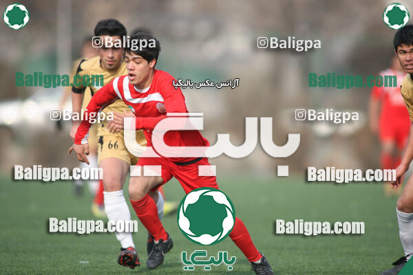 سرخ پوشان ۱ - ۱ پدیده نیک