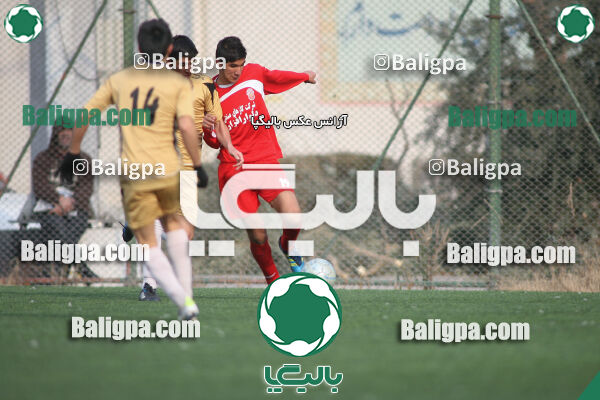 سرخ پوشان ۱ - ۱ پدیده نیک
