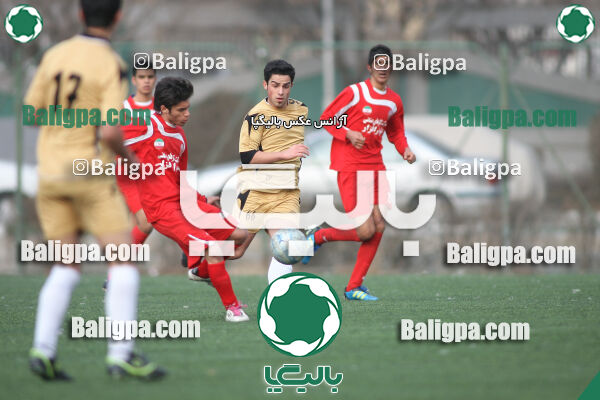 سرخ پوشان ۱ - ۱ پدیده نیک