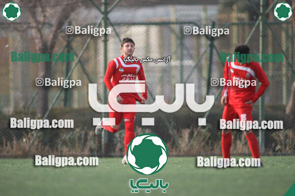 سرخ پوشان ۱ - ۱ پدیده نیک