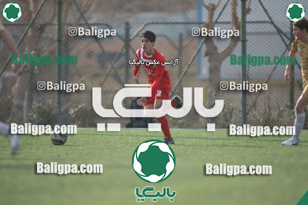 سرخ پوشان ۱ - ۱ پدیده نیک
