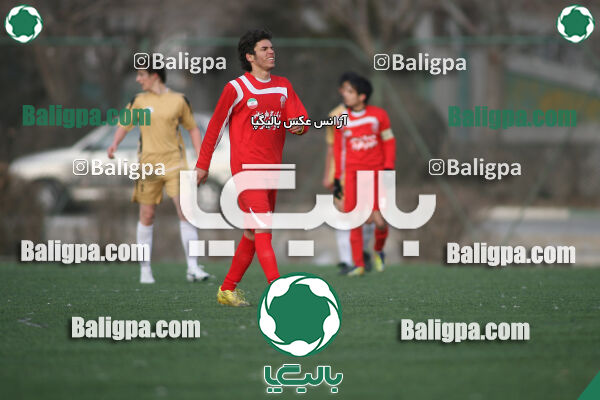 سرخ پوشان ۱ - ۱ پدیده نیک