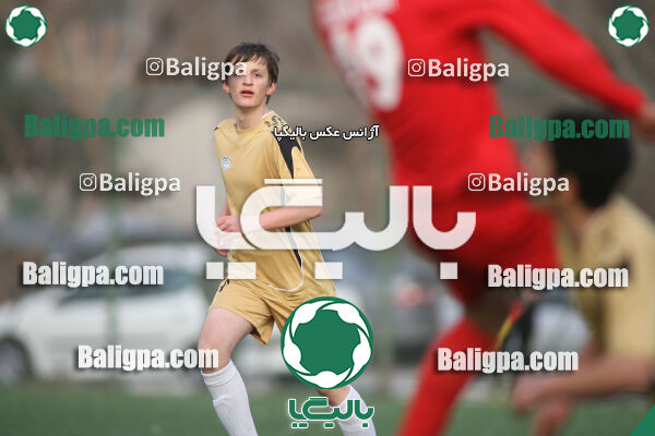 سرخ پوشان ۱ - ۱ پدیده نیک