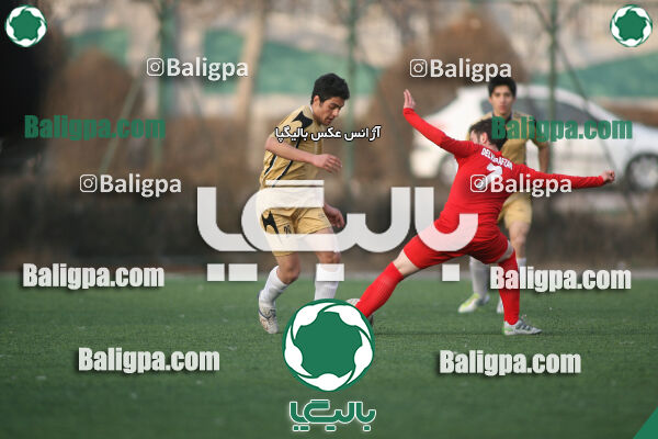 سرخ پوشان ۱ - ۱ پدیده نیک