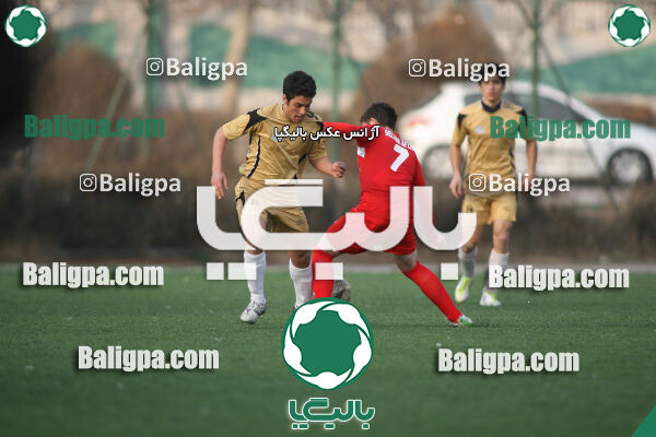 سرخ پوشان ۱ - ۱ پدیده نیک