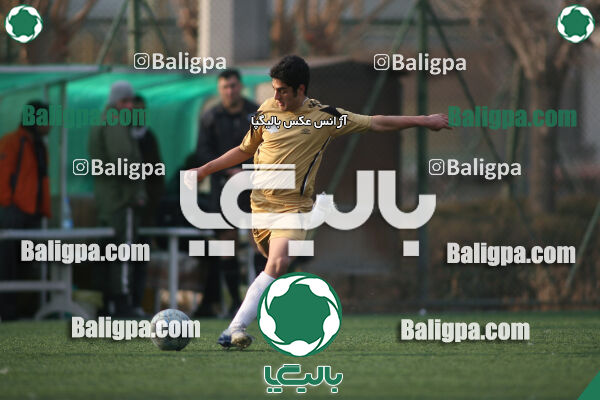 سرخ پوشان ۱ - ۱ پدیده نیک