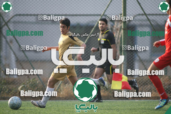 سرخ پوشان ۱ - ۱ پدیده نیک