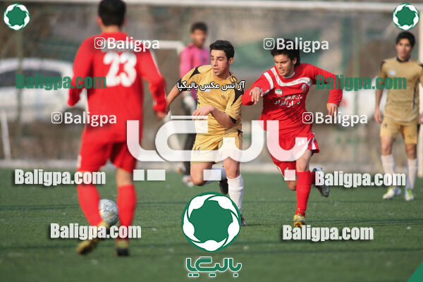 سرخ پوشان ۱ - ۱ پدیده نیک