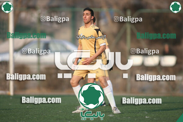 سرخ پوشان ۱ - ۱ پدیده نیک