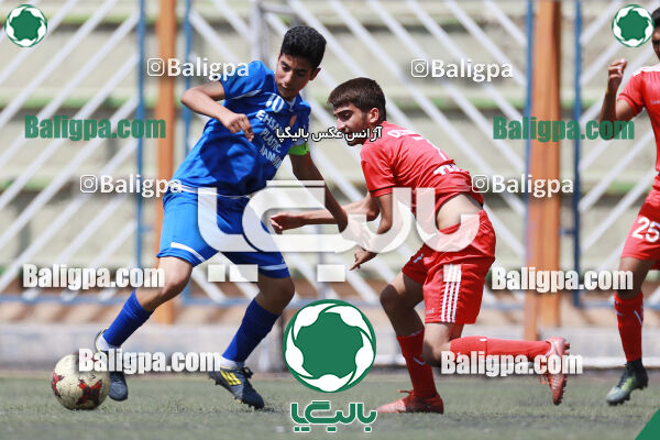 ایکس۱ ایکس۲ - ایکس۳ ایکس۴
