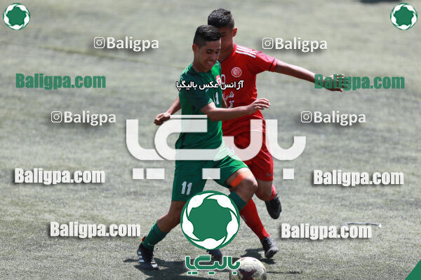 ایکس۱ ایکس۲ - ایکس۳ ایکس۴