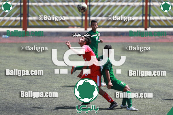 ایکس۱ ایکس۲ - ایکس۳ ایکس۴